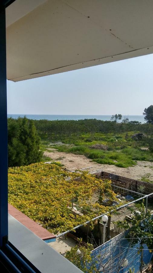 Vila Il Mare Larnaca Exteriér fotografie