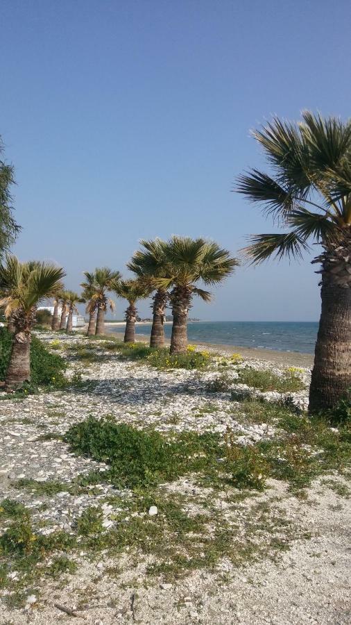 Vila Il Mare Larnaca Exteriér fotografie
