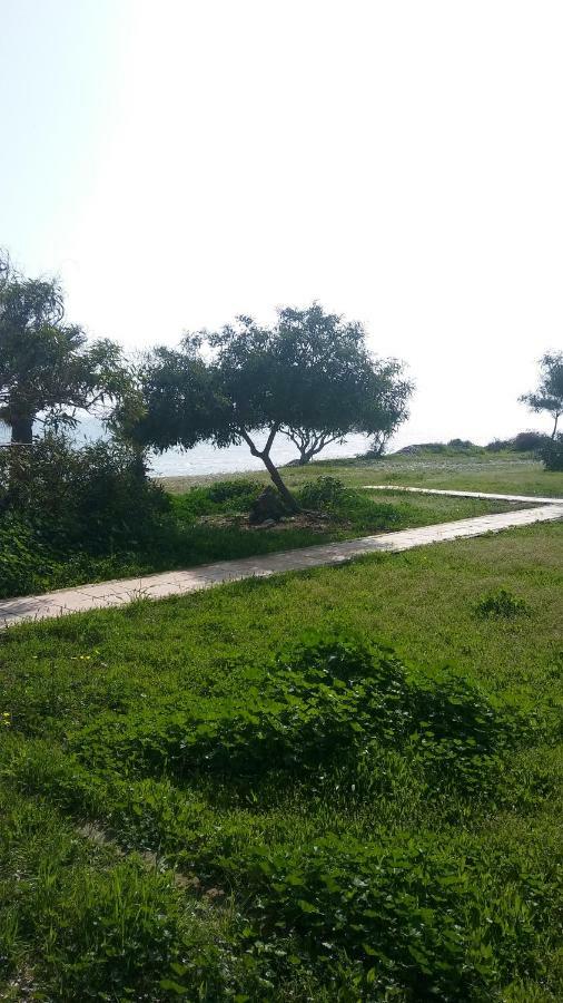 Vila Il Mare Larnaca Exteriér fotografie