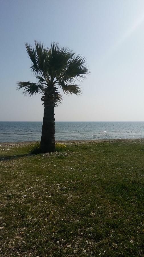 Vila Il Mare Larnaca Exteriér fotografie